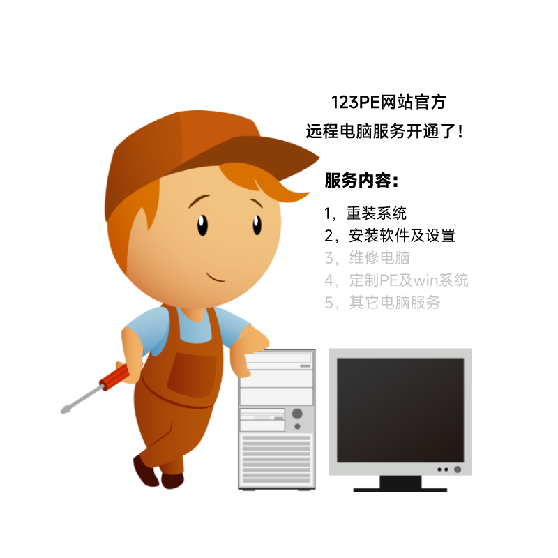 【123PE官方】远程电脑技术服务