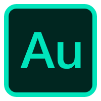 【Au】Audition 2025